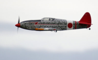 Stinky's electric Hein, 0T8A9194.jpg