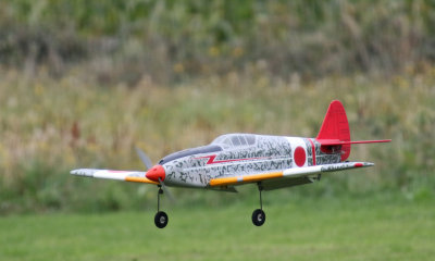 Stinky's electric Hein, 0T8A9198.jpg