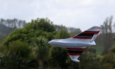 One of the 3 HK Skippers, 0T8A9869.jpg