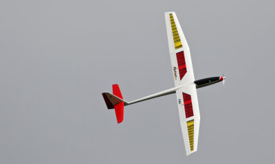 Len's Mystique glider, 0T8A0220.jpg