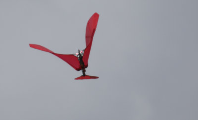 Ornithopter, 0T8A8196.jpg