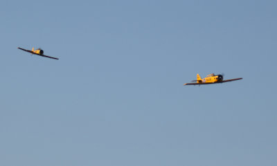 Allen's & Mike's Harvards, 0T8A3580.jpg