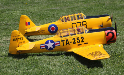 NPMAC have at least 7 Harvards in the squadron, maybe more, 0T8A5226.jpg