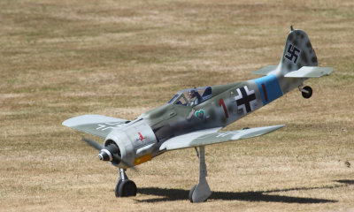 FW 190 nose over-1, 0T8A7572.jpg