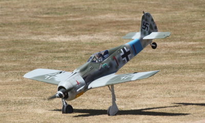 FW 190 nose over-2, 0T8A7573.jpg