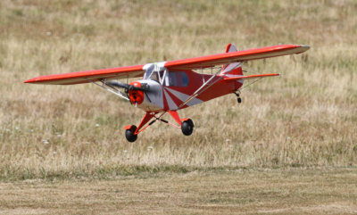 Graeme Rose's Cub landing, 0T8A7745.jpg