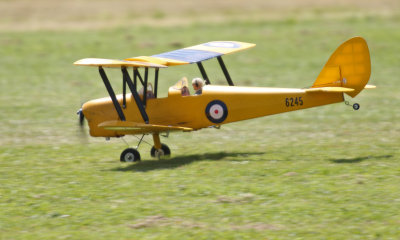 David's Moth landing, 0T8A7086.jpg