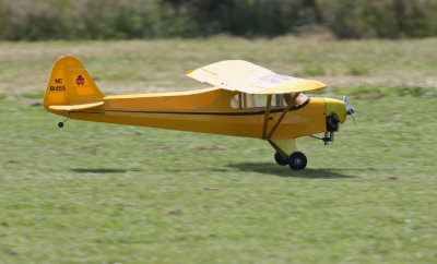 Perfect deadstick landing from the Cub, 0T8A7080.jpg
