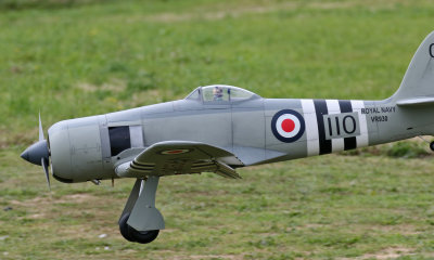 John's Sea Fury about to touch down,0T8A8303.jpg