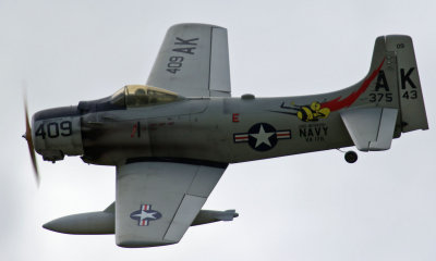 Allen's Skyraider, 0T8A9658.jpg