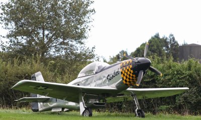 Another scale Mustang arrives, 0T8A0051.jpg