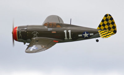 Bogan's P-47 Thunderbolt, 0T8A0182.jpg