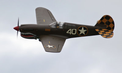 Jonno's P-40, 0T8A0152.jpg