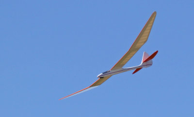 Bill Gilbert's Bird of time glider, 0T8A8612.jpg