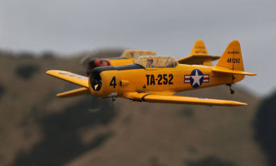 Close racing in the Harvards, 0T8A9335.jpg