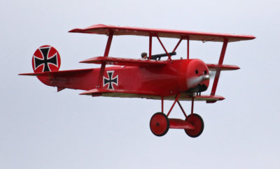 Fokker DrI, 0T8A1588.jpg