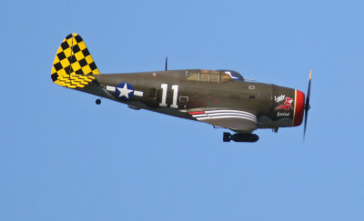 P-47 Thunderbolt, 0T8A1445.jpg