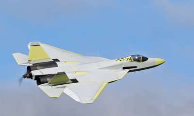 Allen's Sukhoi T-50, 0T8A3059.jpg