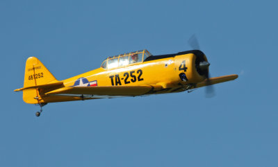 Allen's Harvard, 0T8A3846.jpg