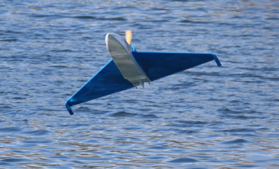 Allen's Arrow coming in for a high alpha landing, 0T8A4864.jpg