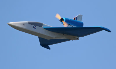 Allen's Arrow, 0T8A4803.jpg