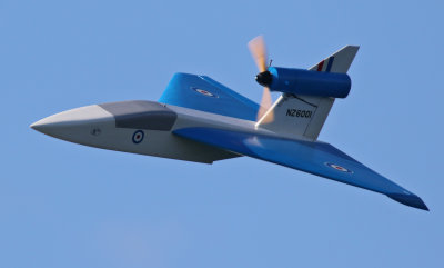 Allen's Arrow, 0T8A4814.jpg
