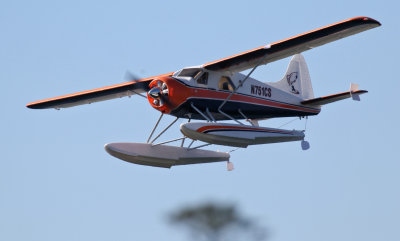 Allen's electric Beaver, 0T8A4327.jpg