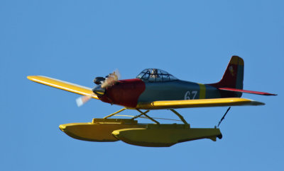 Keith's modified hog, 0T8A4462.jpg