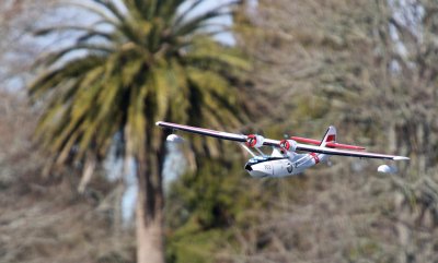 Rob's Catalina, 0T8A4557.jpg