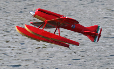 Steve's M 39 leaps into the air on maiden, 0T8A4687.jpg
