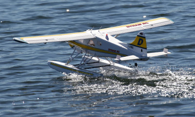 Tony's Beaver, 0T8A4428.jpg