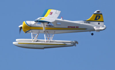 Tony's Beaver, 0T8A4490.jpg