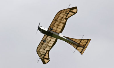 The gracefull lines of Alastair's dove, 0T8A6188.jpg