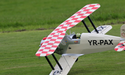 Tony McColl's Seagull Bucker Bu 133 Jungmeister tries a tricky landing, 0T8A6131.jpg