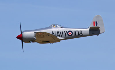 Hawker Sea Fury, #T8A7000.jpg