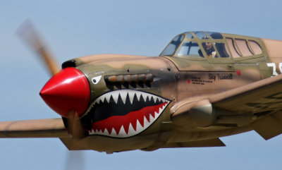 Steve's Warhawk makes a low pass, 0T8A6975.jpg