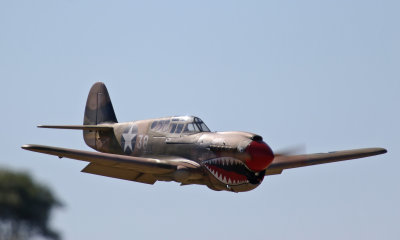 Steve's Warhawk on a low pass, #T8A7048.jpg