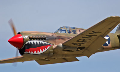 Steve's Warhawk, 0T8A6976.jpg