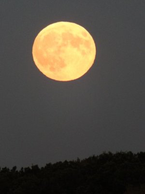 Moon Rise a little more