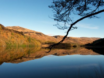 Loch Trool walk 30.jpg