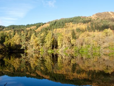 Loch Trool walk 34.jpg