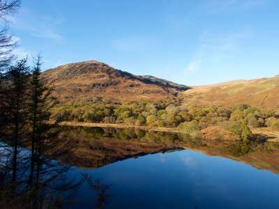 Loch Trool walk 52.jpg