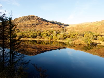 Loch Trool walk 54.jpg