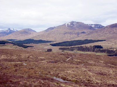 west highland way 213.jpg