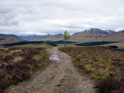 west highland way 217.jpg