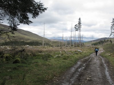 west highland way 354.jpg