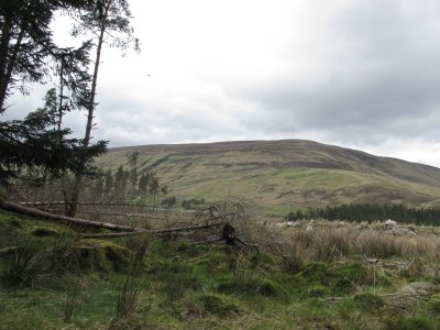 west highland way 355.jpg