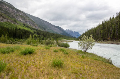 jasper_road_to_banff