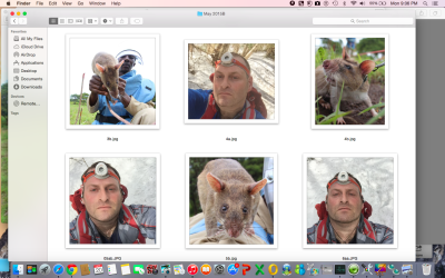 Screen Shot 2015-04-20 at 9.06.52 PM.png