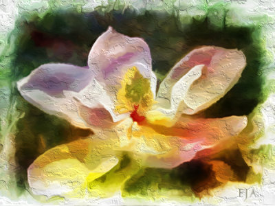 Magnolia Monet